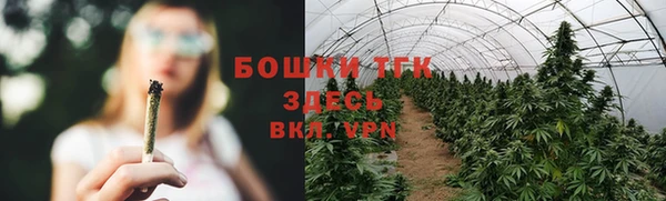 шишки Липки