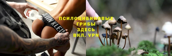 шишки Липки