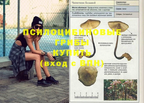 прущий лед Новый Уренгой
