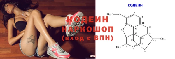 шишки Липки
