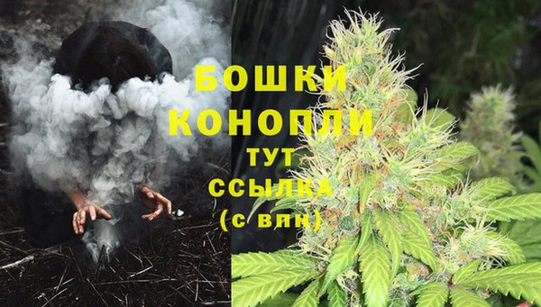 шишки Липки