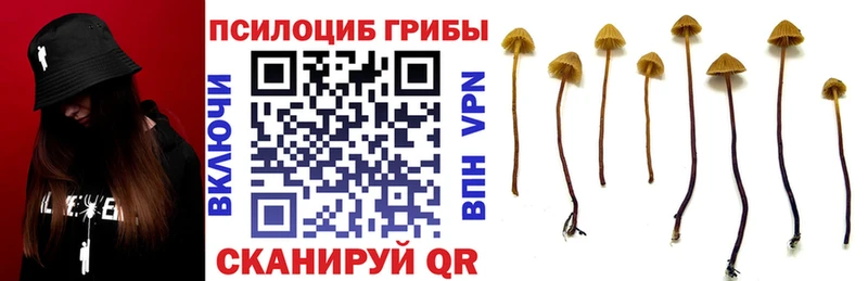 Галлюциногенные грибы MAGIC MUSHROOMS  ОМГ ОМГ как зайти  Южноуральск 