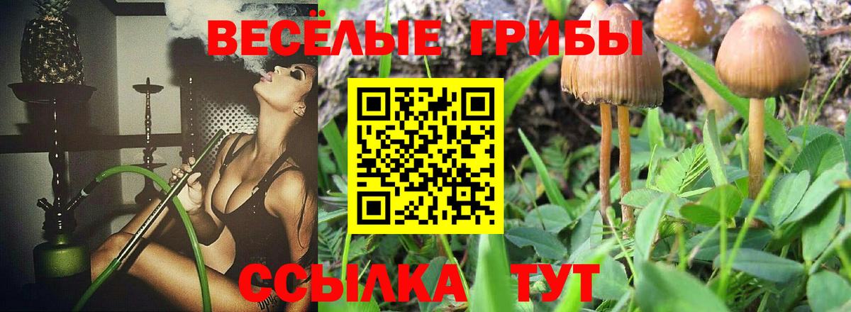 как найти наркотики  Вход с VPN  Южноуральск  Галлюциногенные грибы Psilocybine cubensis 